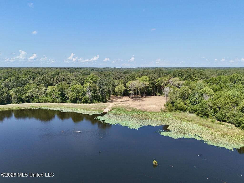 00114 Pocahontas Road Property Photo 10