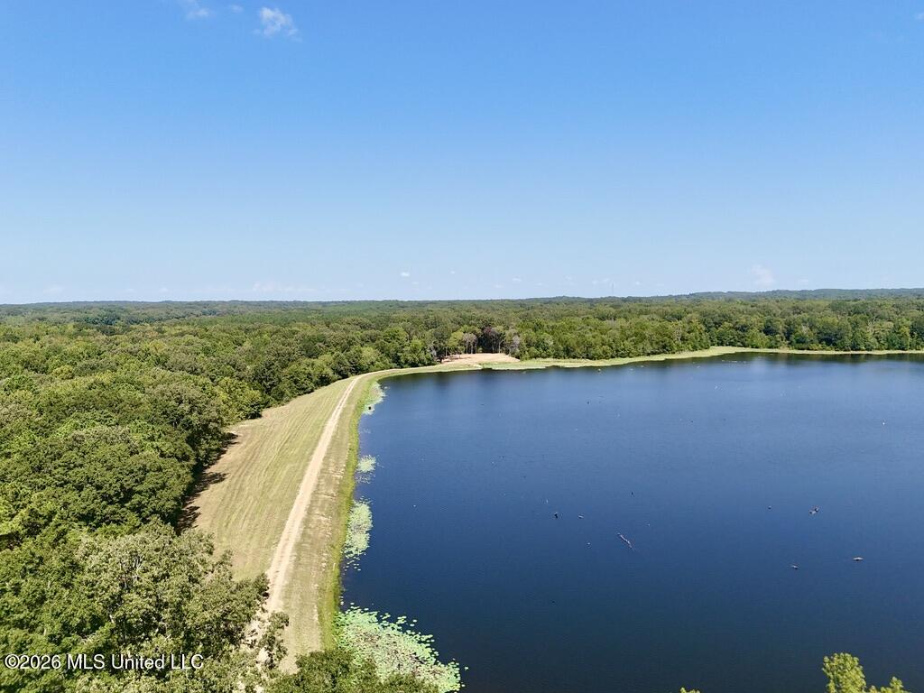 00114 Pocahontas Road Property Photo 11
