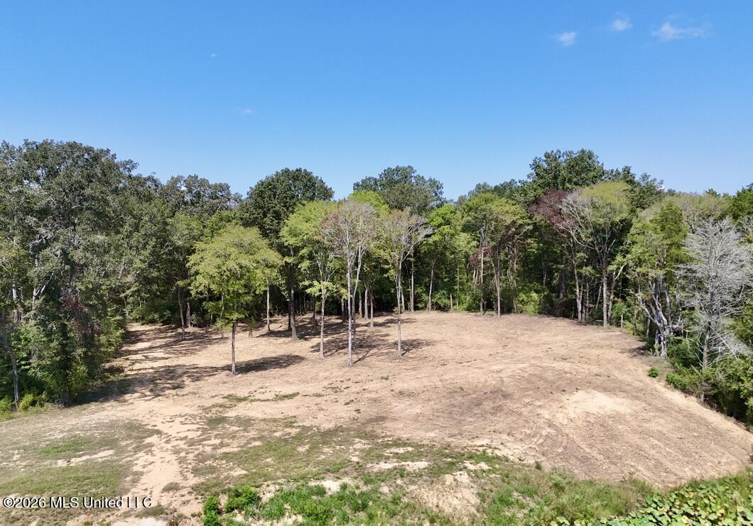 00114 Pocahontas Road Property Photo 13