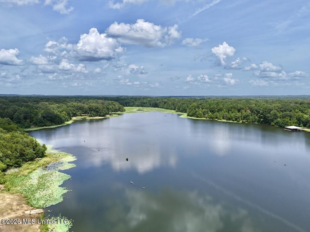 00114 Pocahontas Road Property Photo 15