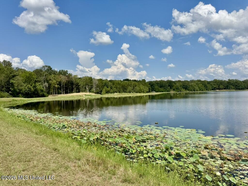 00114 Pocahontas Road Property Photo 16