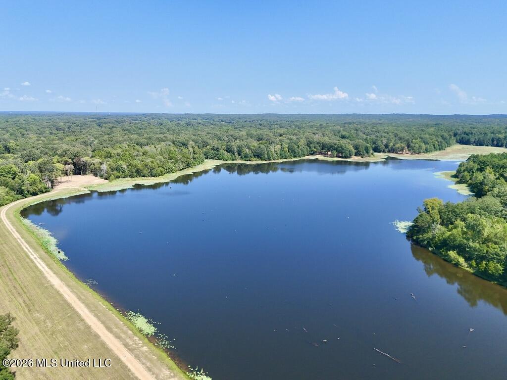 00114 Pocahontas Road Property Photo 17