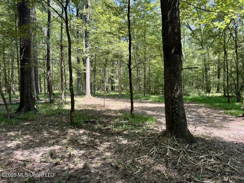 00114 Pocahontas Road Property Photo 19