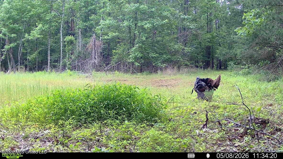 00114 Pocahontas Road Property Photo 21