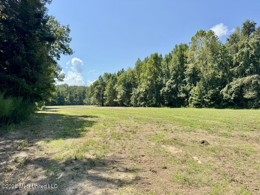 00114 Pocahontas Road Property Photo 23