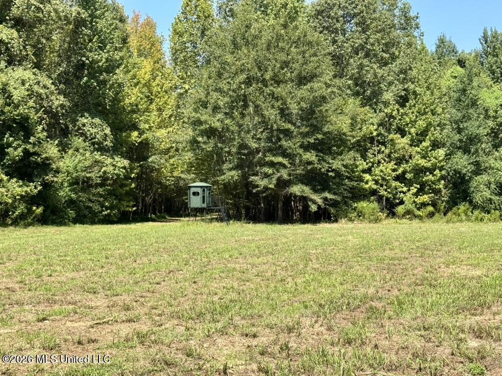 00114 Pocahontas Road Property Photo 24