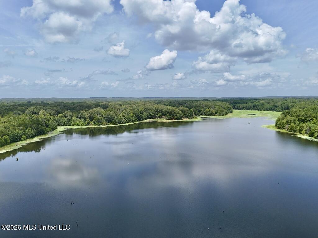 00114 Pocahontas Road Property Photo 25