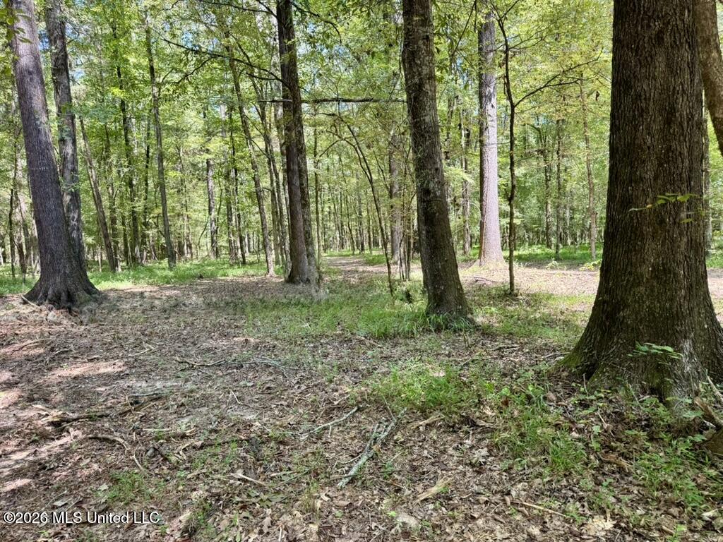 00114 Pocahontas Road Property Photo 26