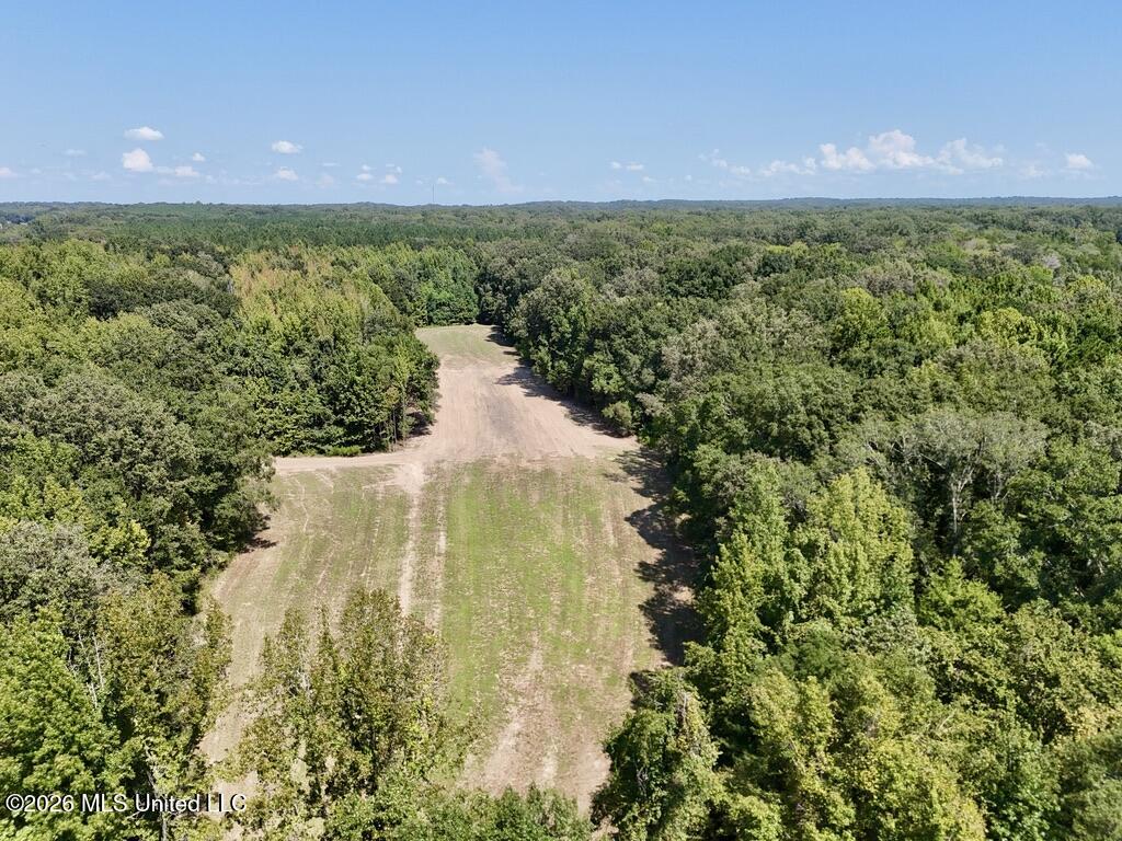 00114 Pocahontas Road Property Photo 28