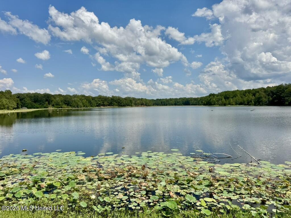 00114 Pocahontas Road Property Photo 29