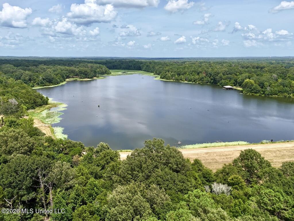 00114 Pocahontas Road Property Photo 34