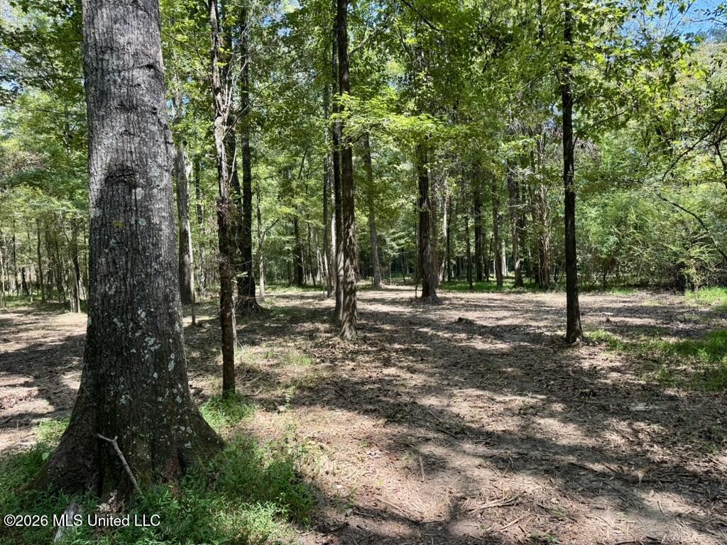 00114 Pocahontas Road Property Photo 35