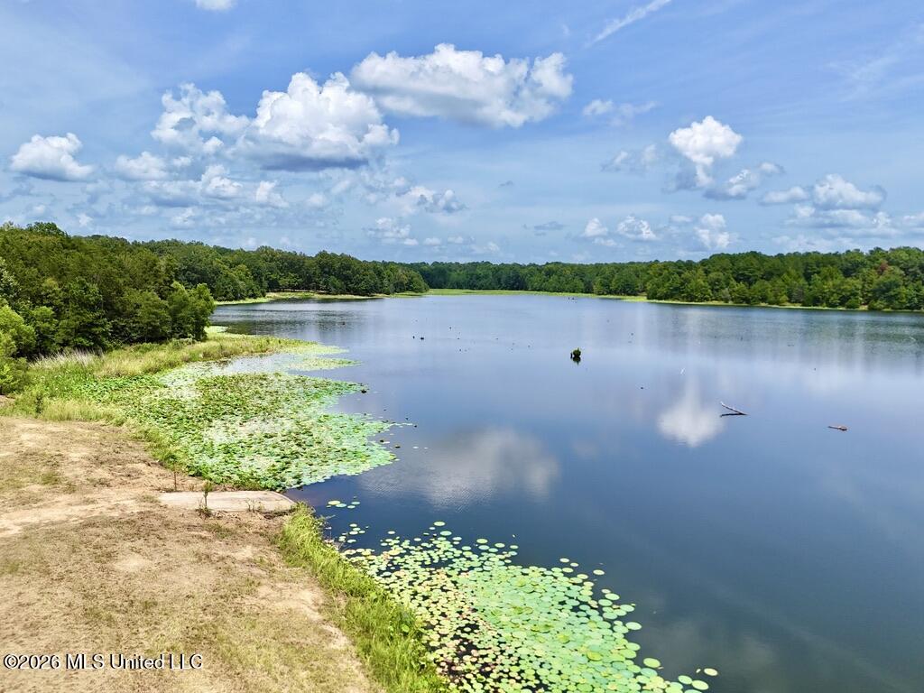 00114 Pocahontas Road Property Photo 36