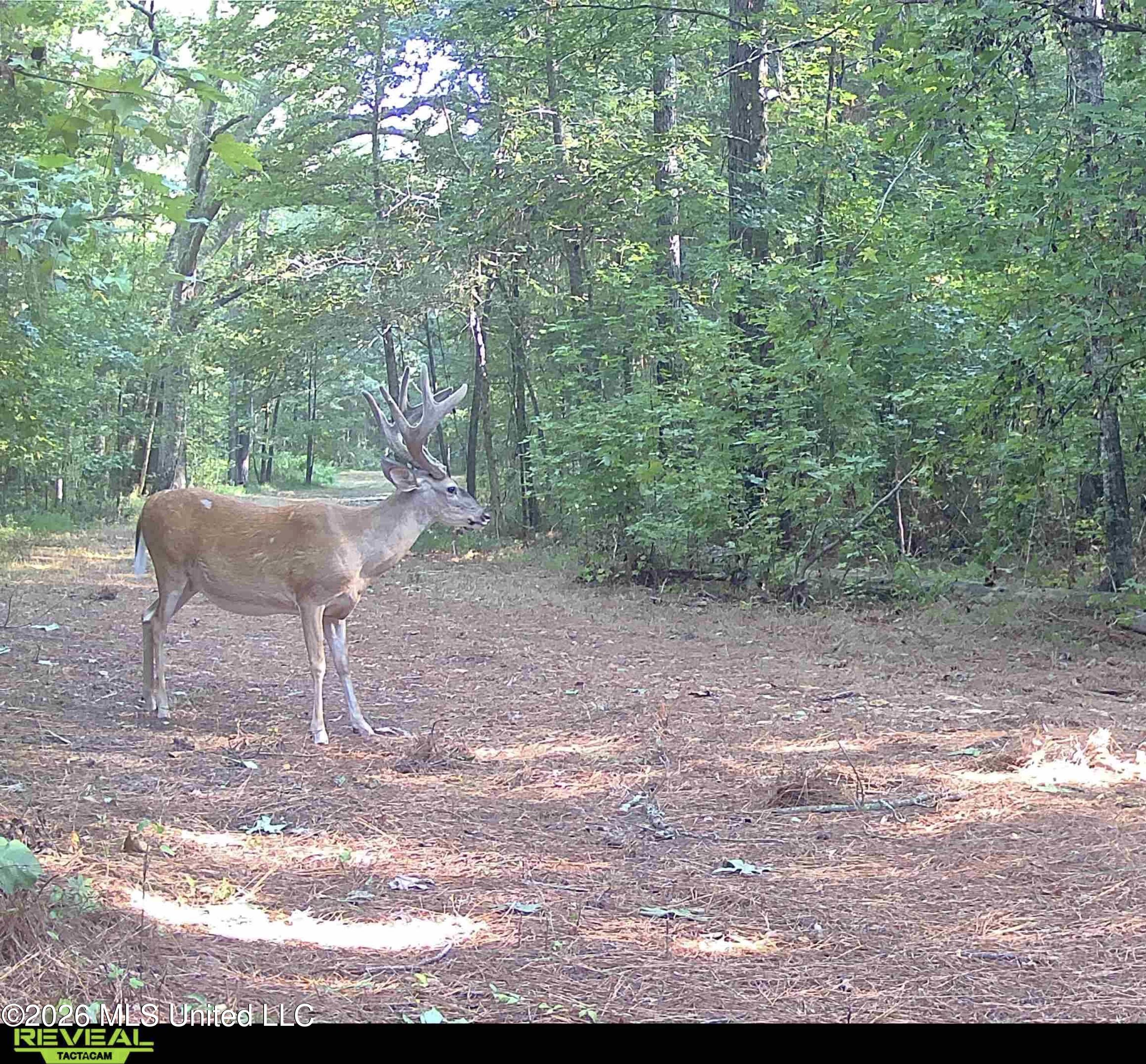 00114 Pocahontas Road Property Photo 37