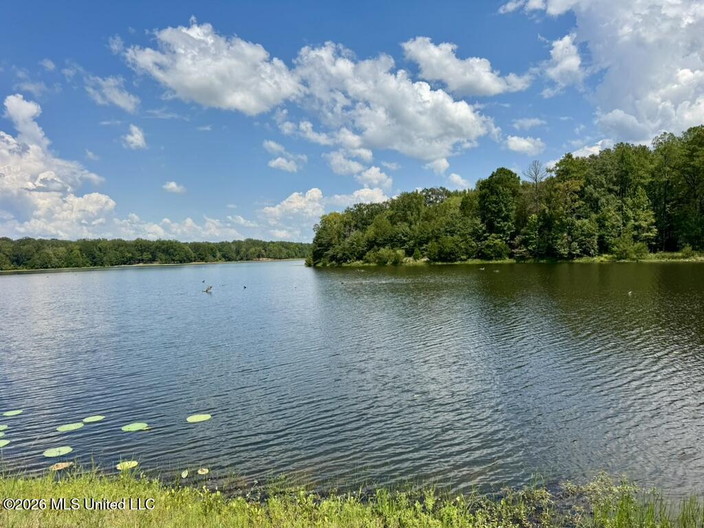 00114 Pocahontas Road Property Photo 38