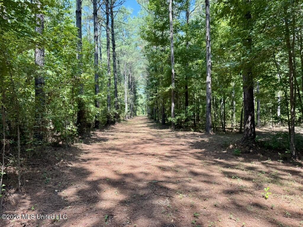 00114 Pocahontas Road Property Photo 39