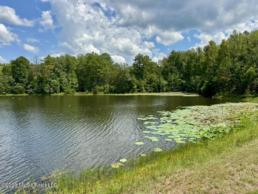 00114 Pocahontas Road Property Photo 41