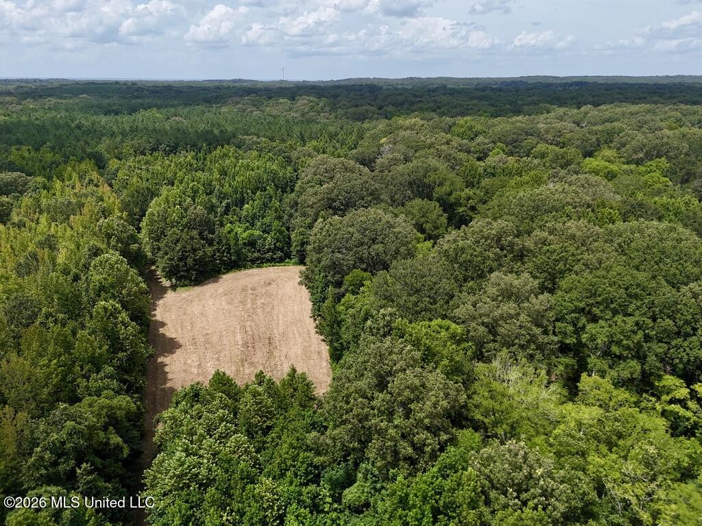00114 Pocahontas Road Property Photo 42