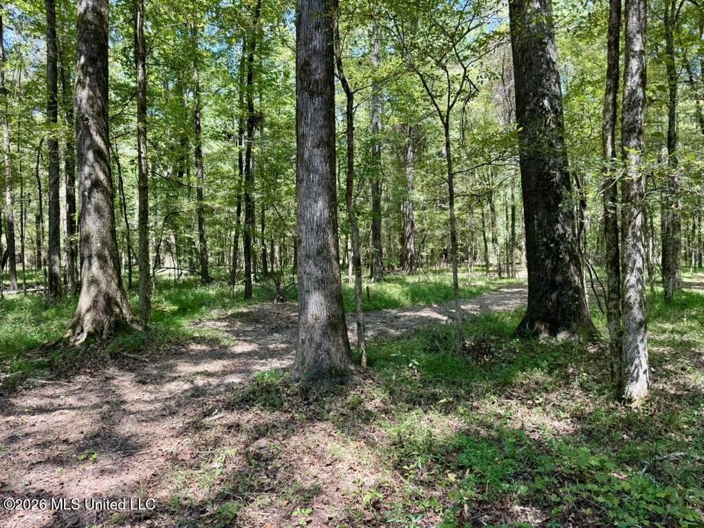 00114 Pocahontas Road Property Photo 43
