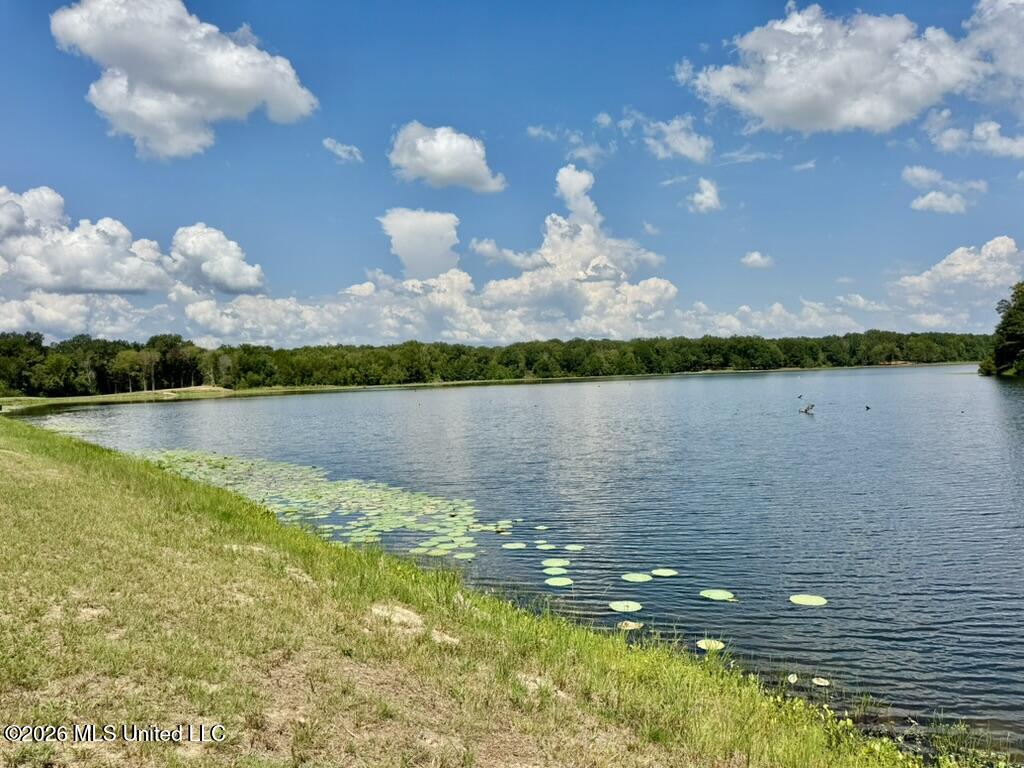 00114 Pocahontas Road Property Photo 45