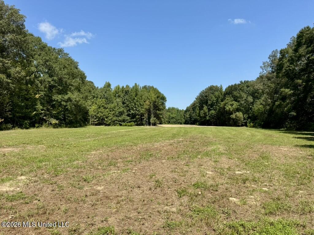 00114 Pocahontas Road Property Photo 48