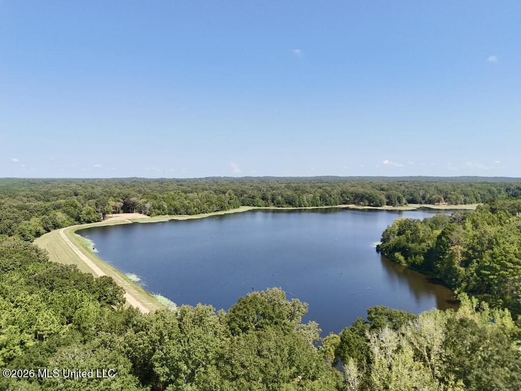 00114 Pocahontas Road Property Photo 51