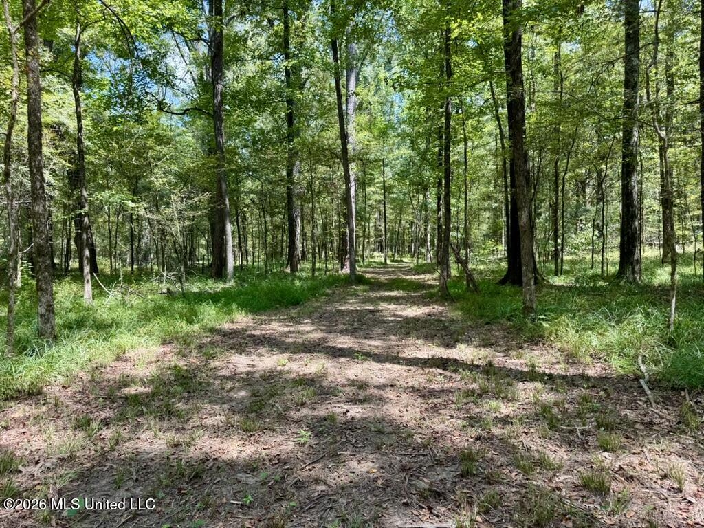 00114 Pocahontas Road Property Photo 54