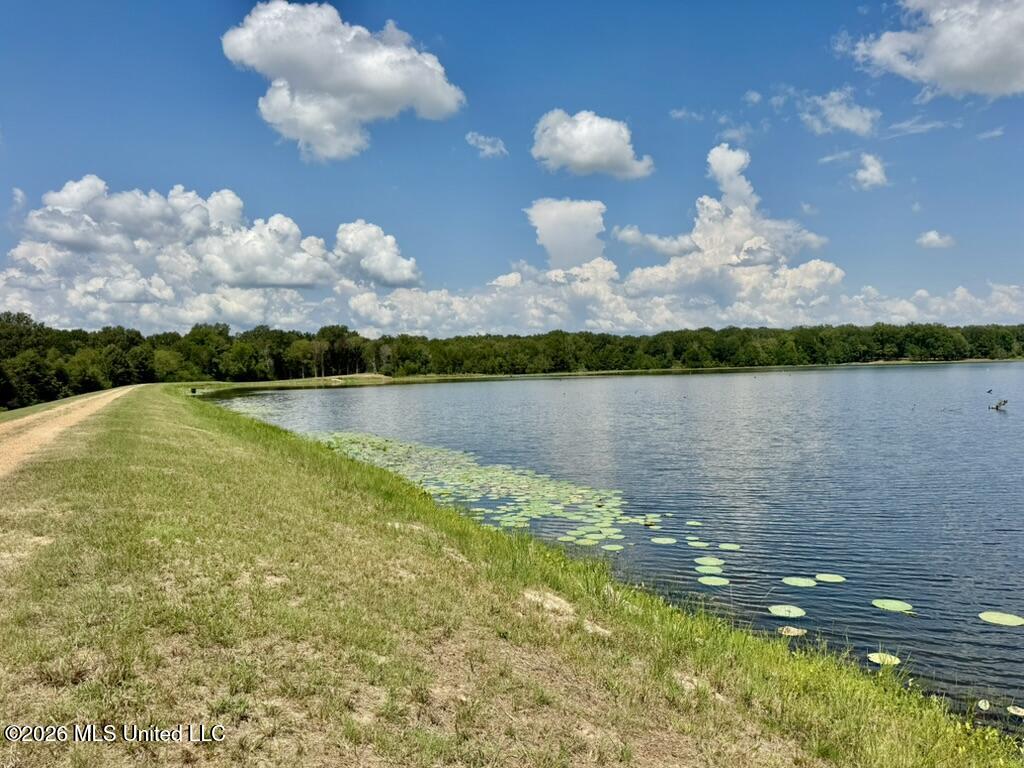 00114 Pocahontas Road Property Photo 55