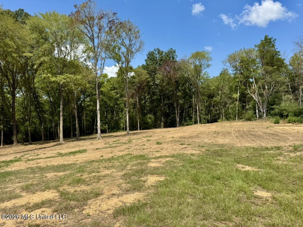 00114 Pocahontas Road Property Photo 57