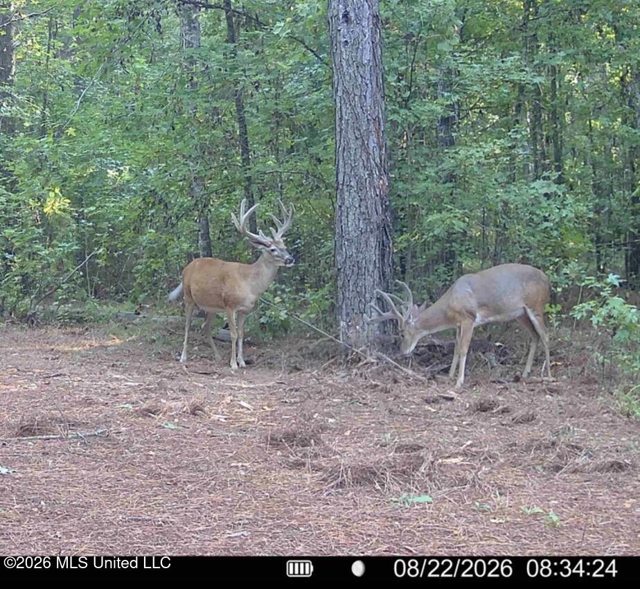 00114 Pocahontas Road Property Photo 58