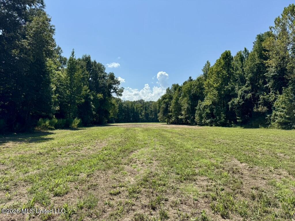 00114 Pocahontas Road Property Photo 59