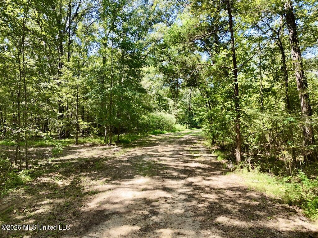 00114 Pocahontas Road Property Photo 60