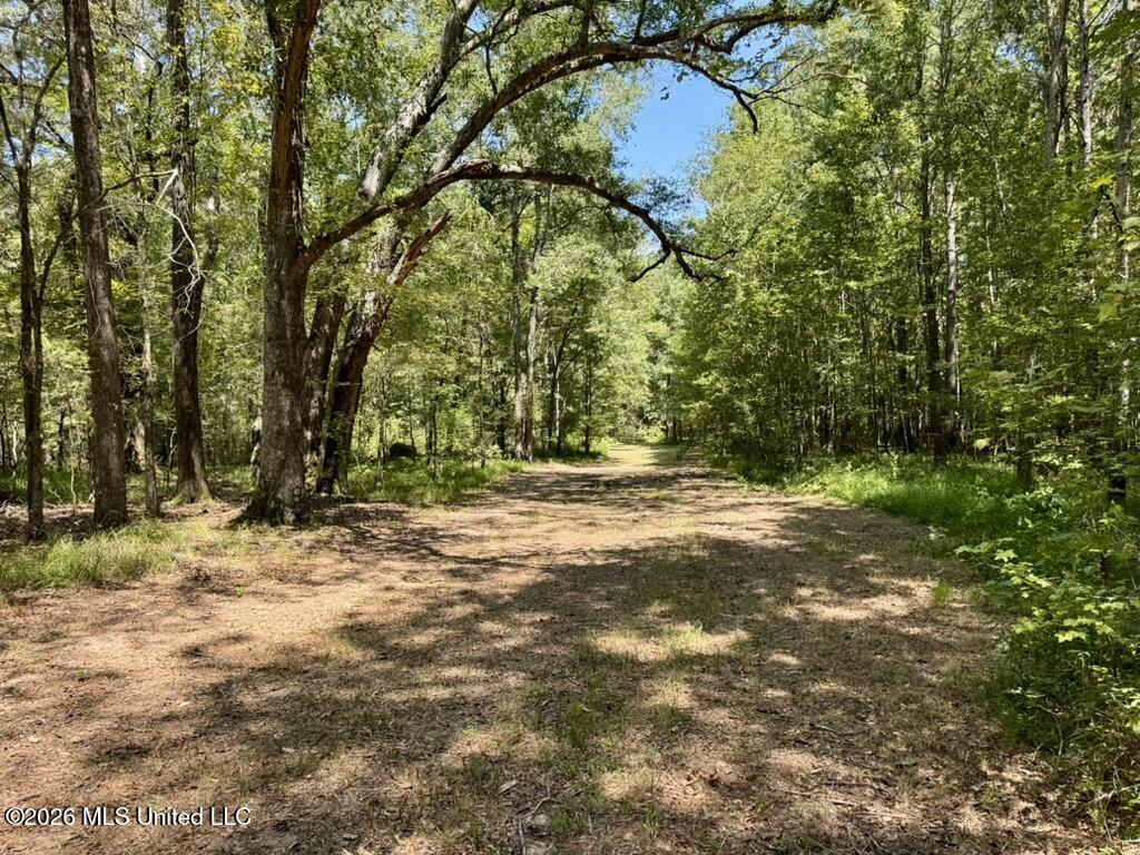 00114 Pocahontas Road Property Photo 62