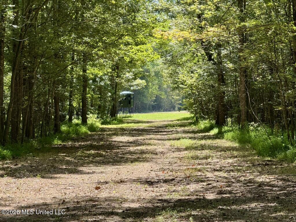 00114 Pocahontas Road Property Photo 63