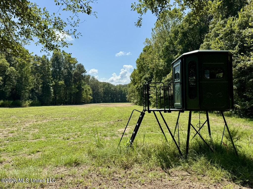 00114 Pocahontas Road Property Photo 64