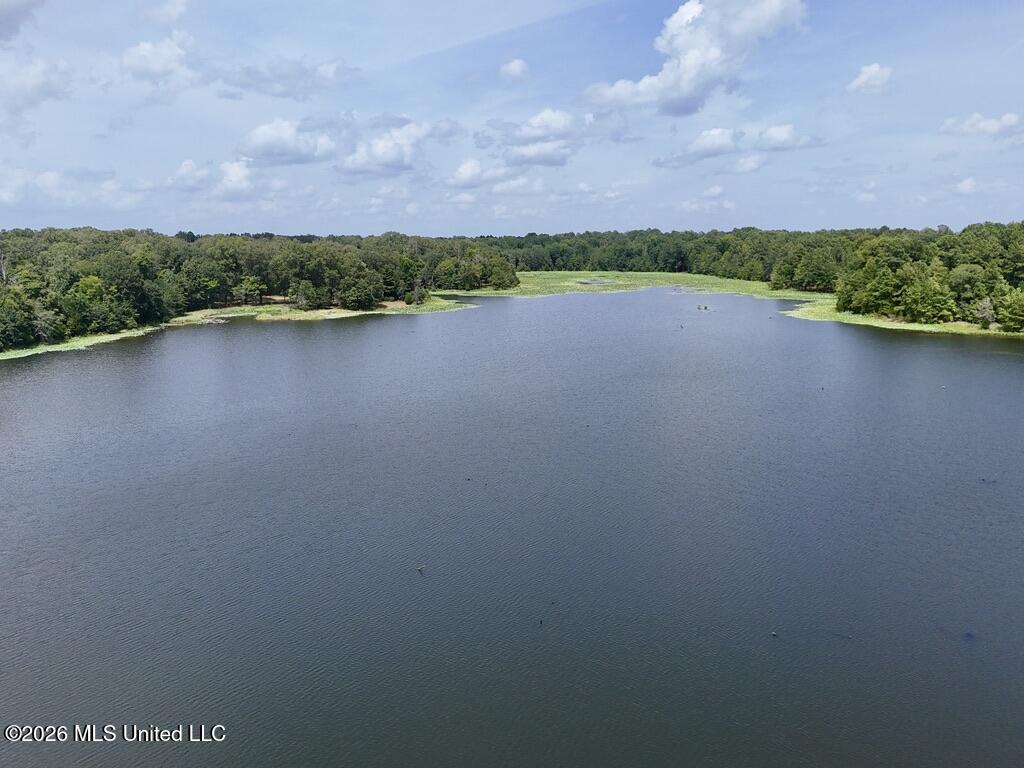 00114 Pocahontas Road Property Photo 66