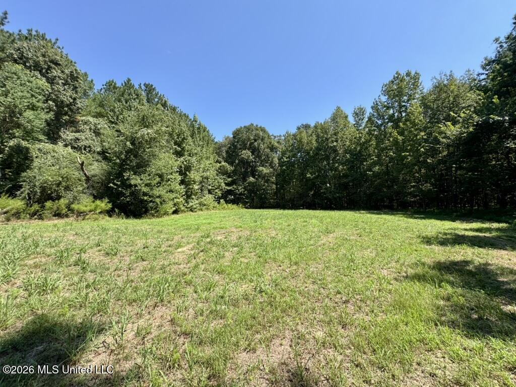 00114 Pocahontas Road Property Photo 67