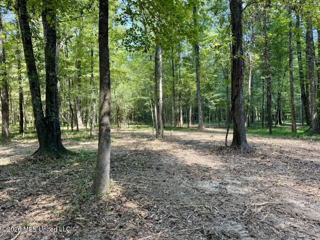 00114 Pocahontas Road Property Photo 68