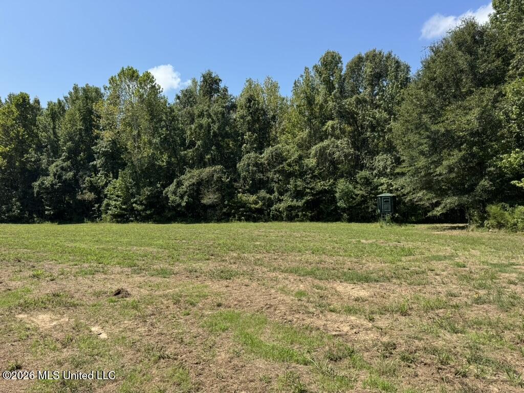 00114 Pocahontas Road Property Photo 69
