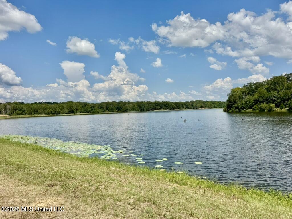 00114 Pocahontas Road Property Photo 70