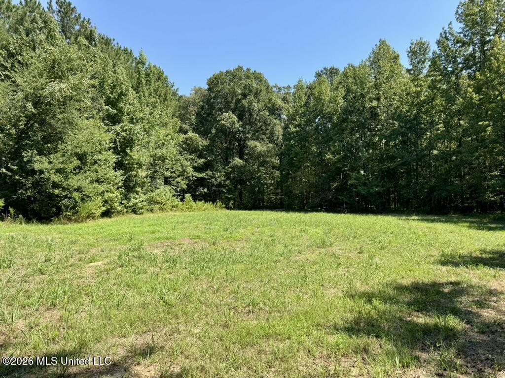 00114 Pocahontas Road Property Photo 76
