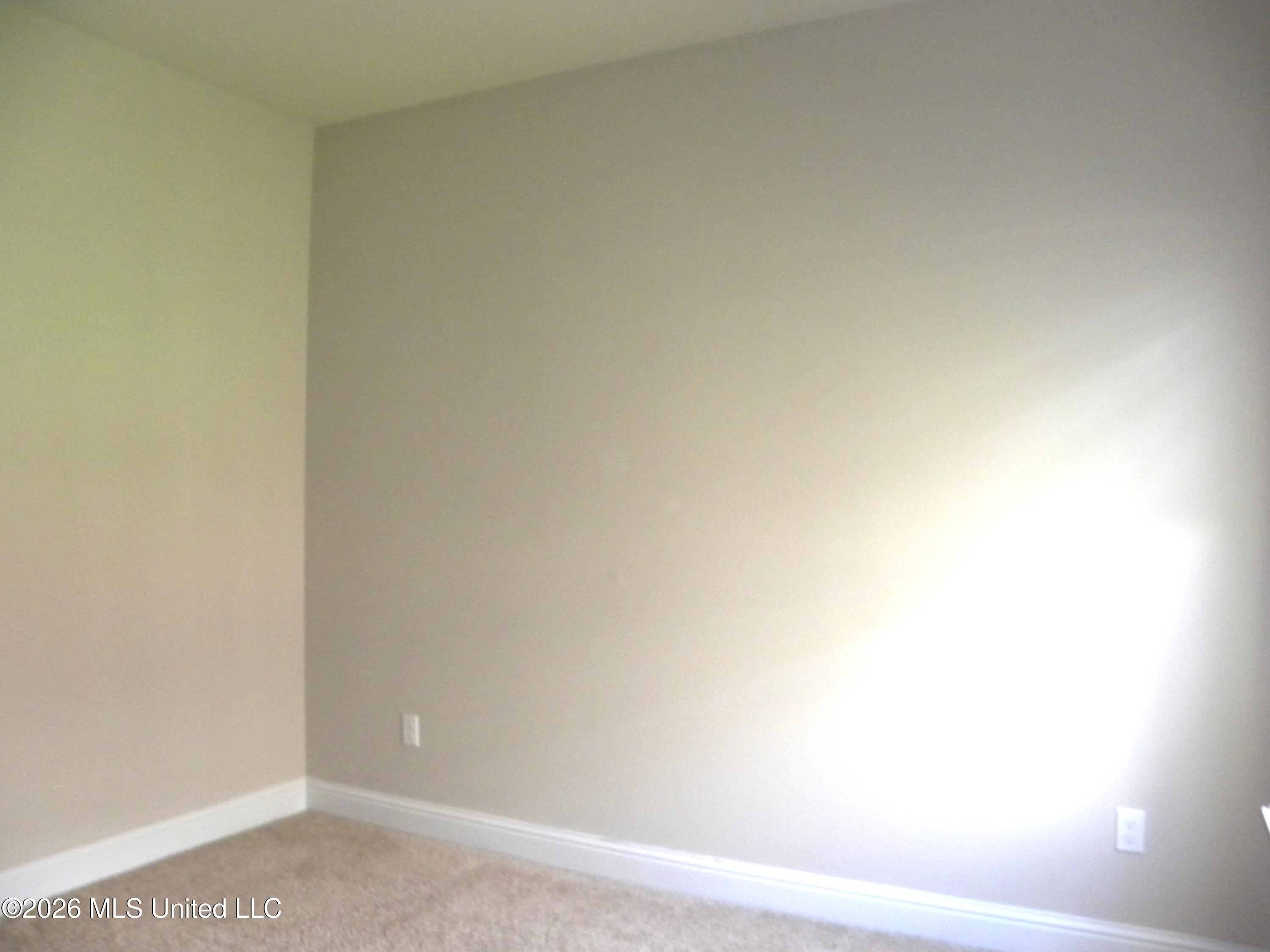 108 Clear Springs Circle Property Photo 34