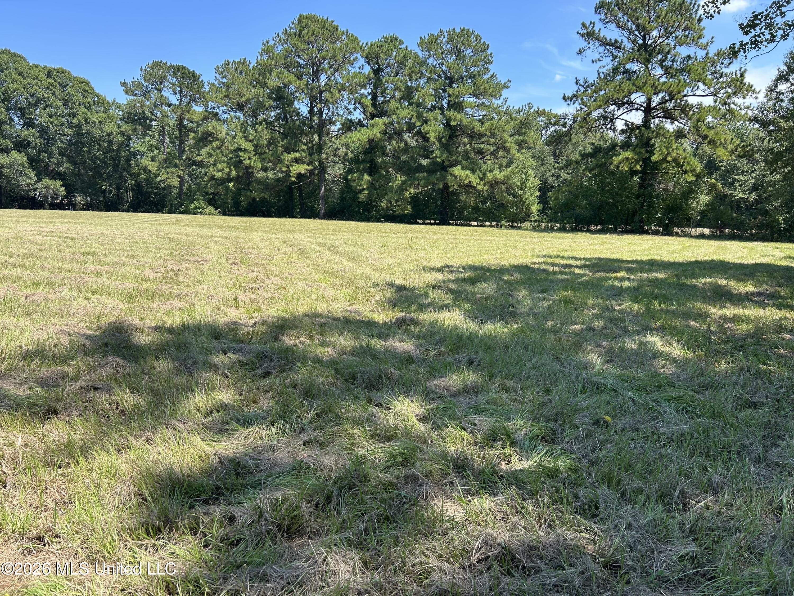 Marcus Mitchell Road Property Photo 1
