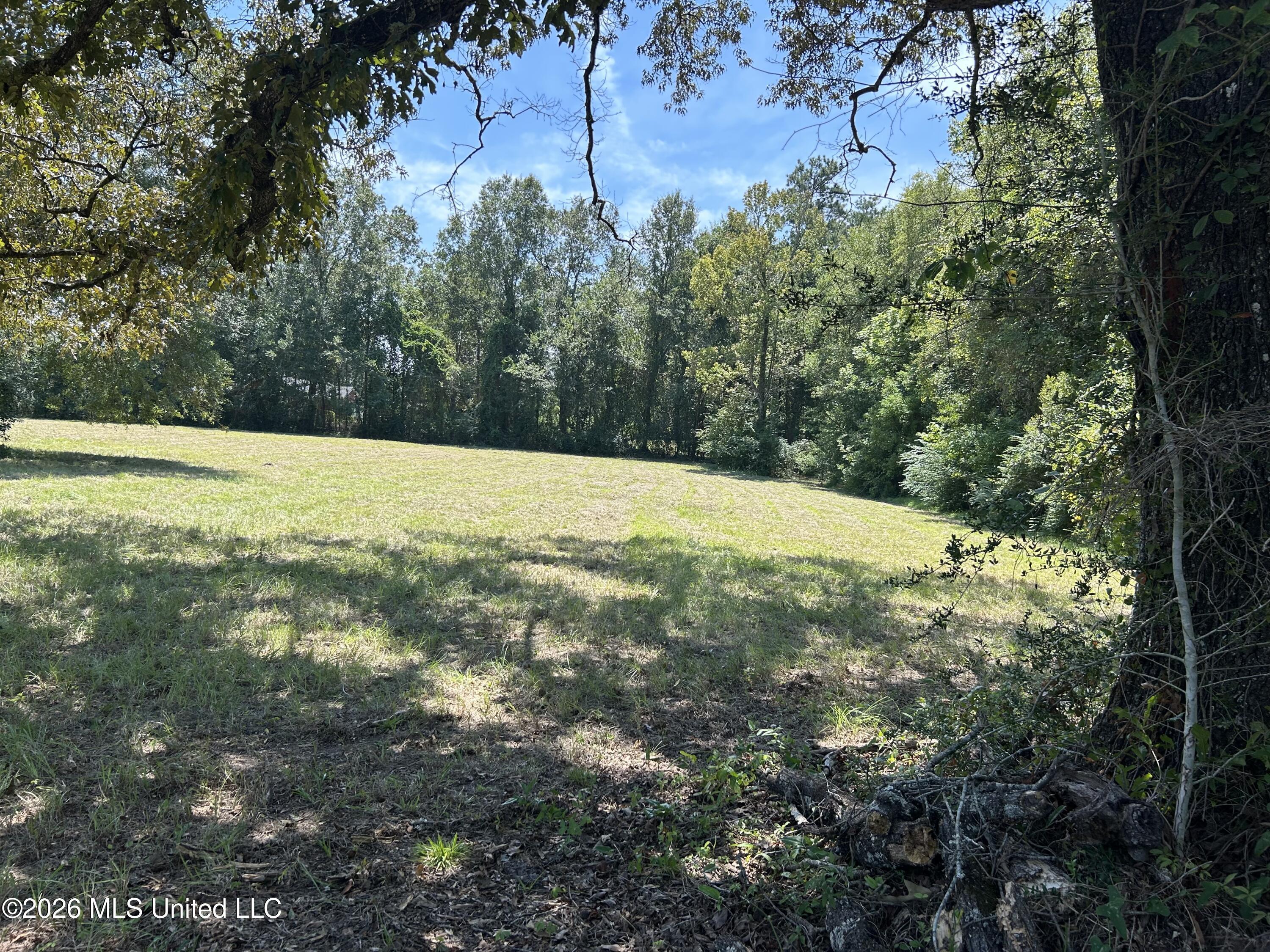 Marcus Mitchell Road Property Photo 3