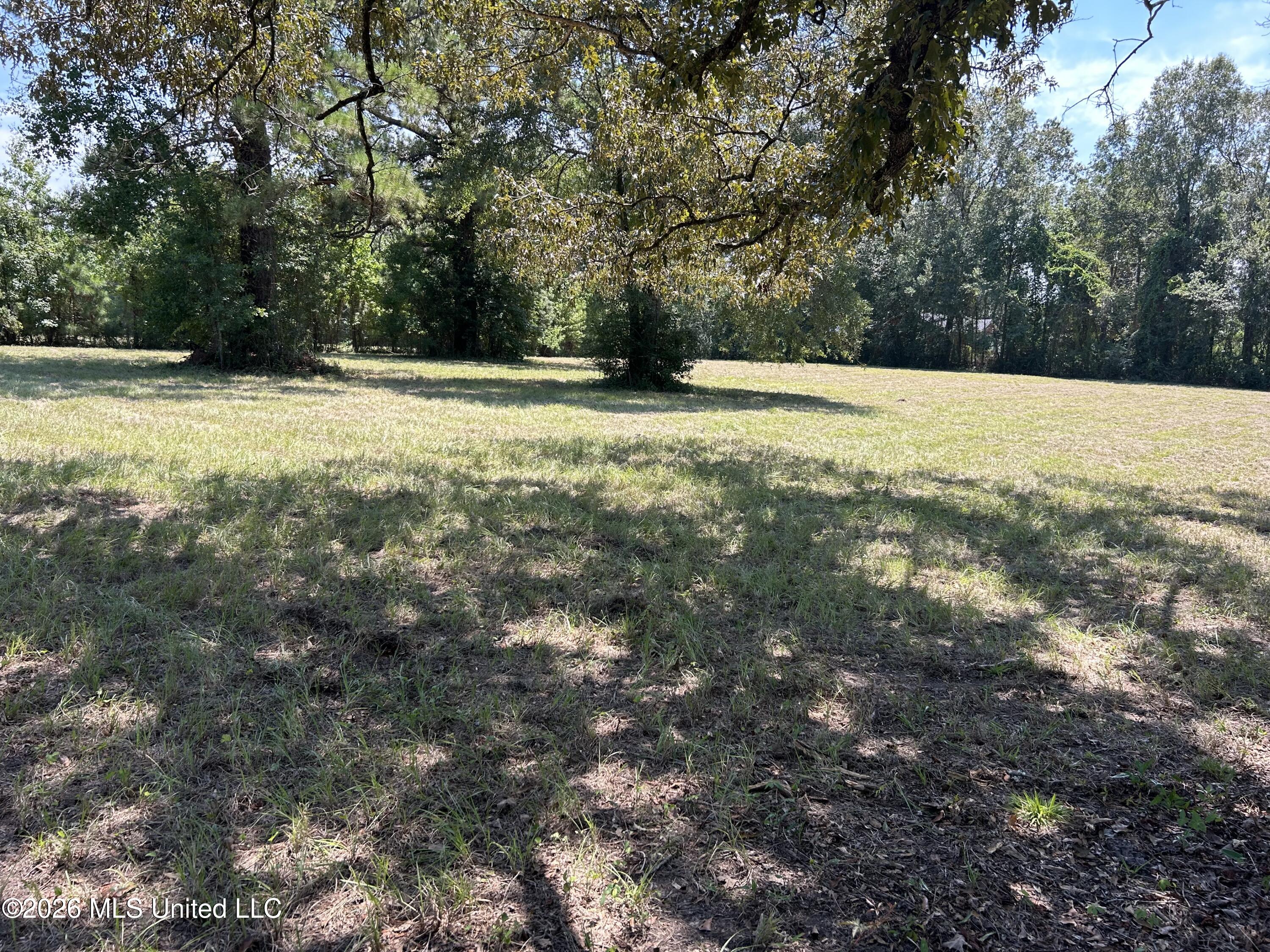 Marcus Mitchell Road Property Photo 4
