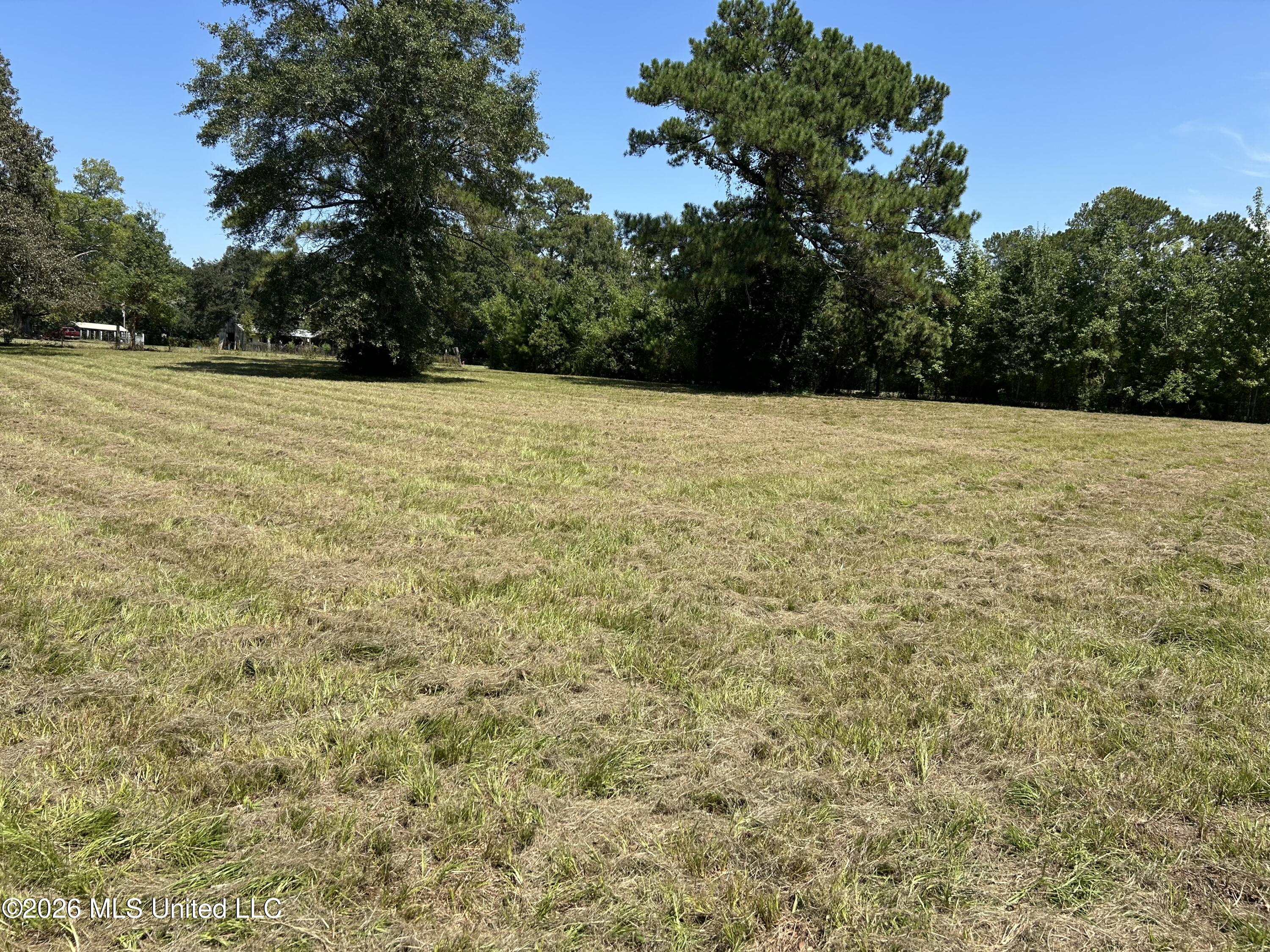 Marcus Mitchell Road Property Photo 5