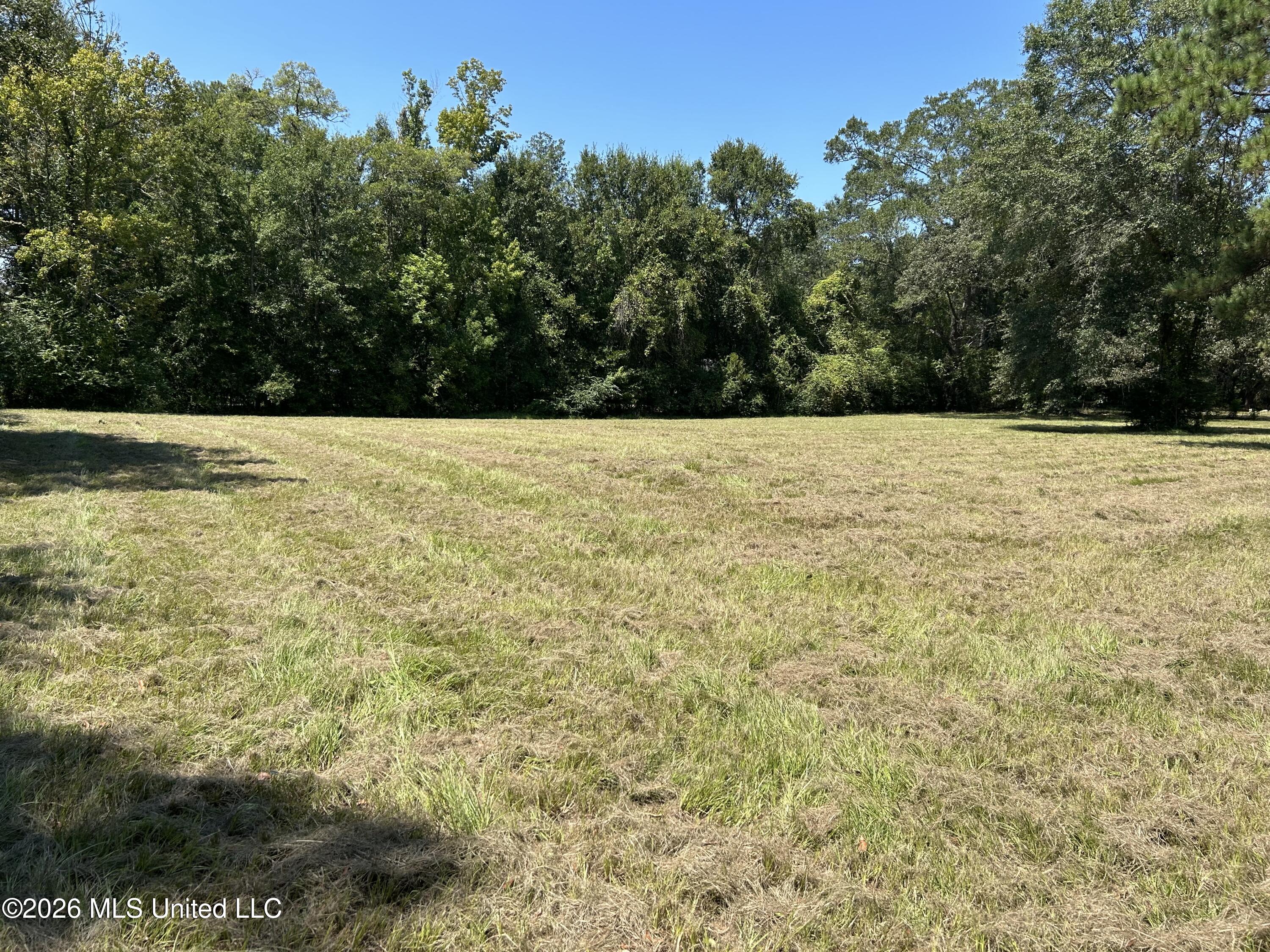 Marcus Mitchell Road Property Photo 6