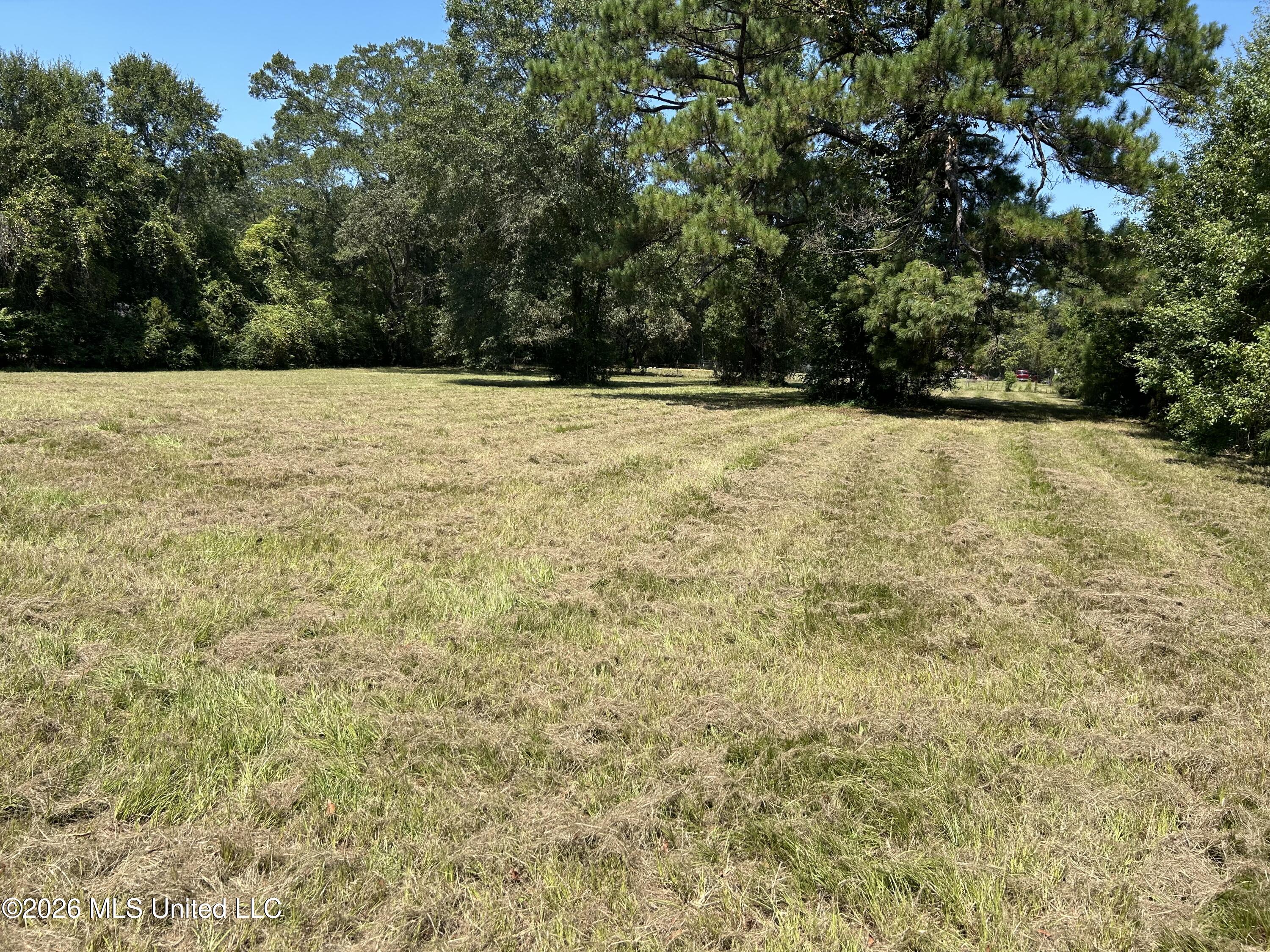 Marcus Mitchell Road Property Photo 7