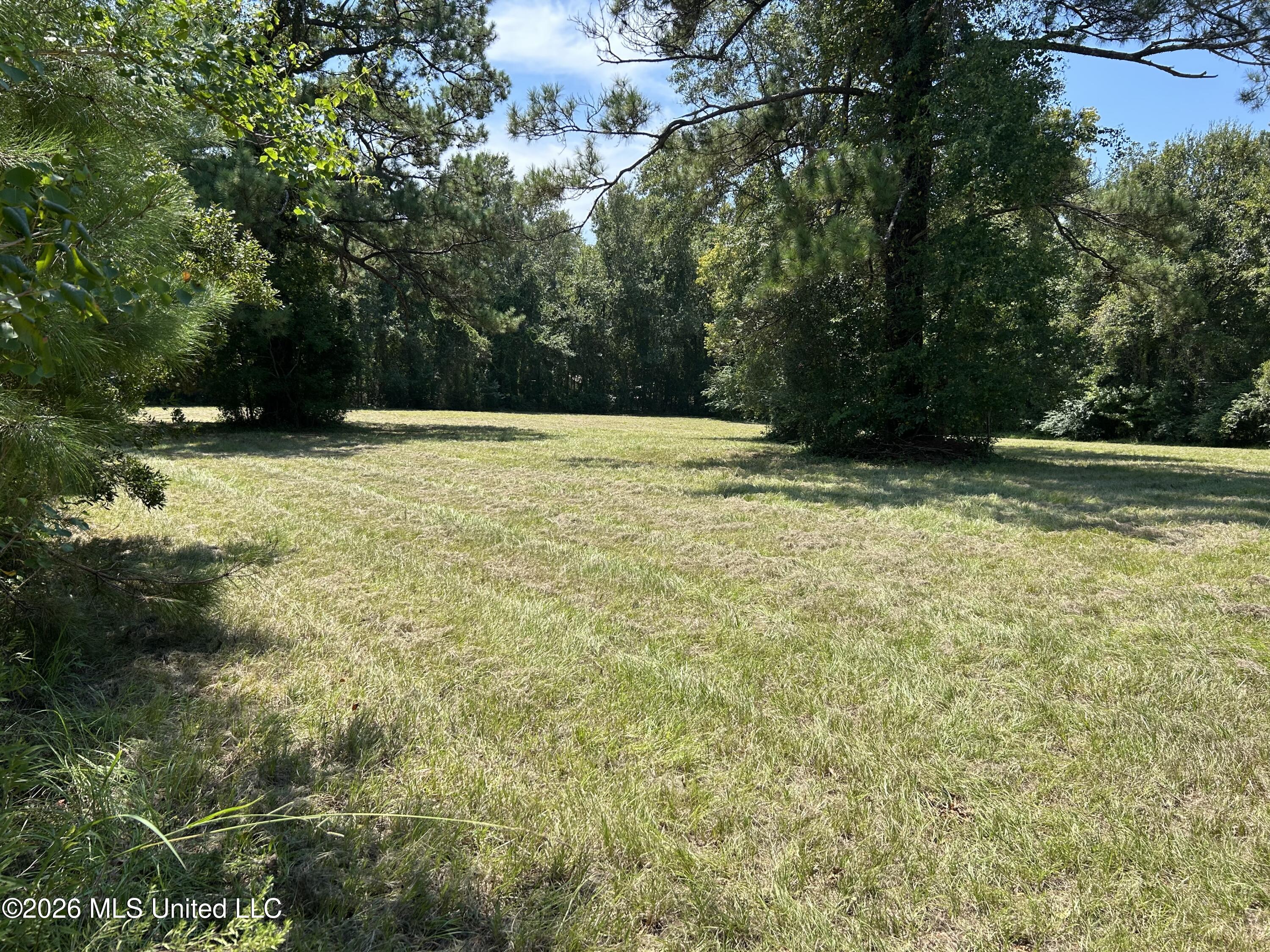 Marcus Mitchell Road Property Photo 8