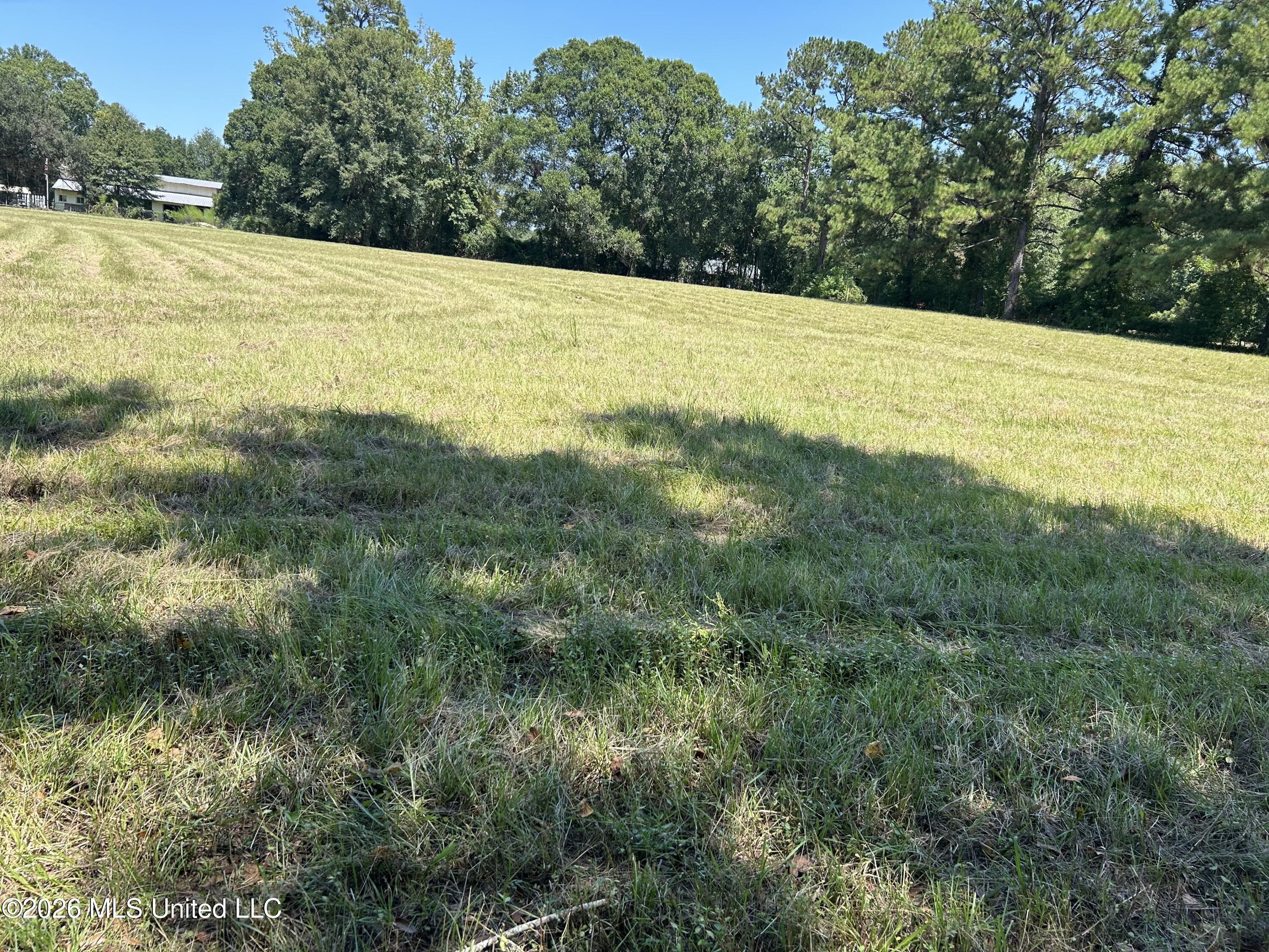 Marcus Mitchell Road Property Photo 10